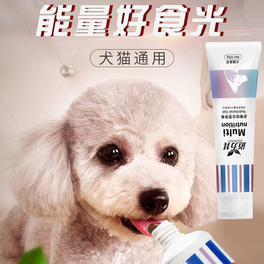 道力其-宠物营养膏120g 营养均衡 提高免疫 犬猫通用 商品图1
