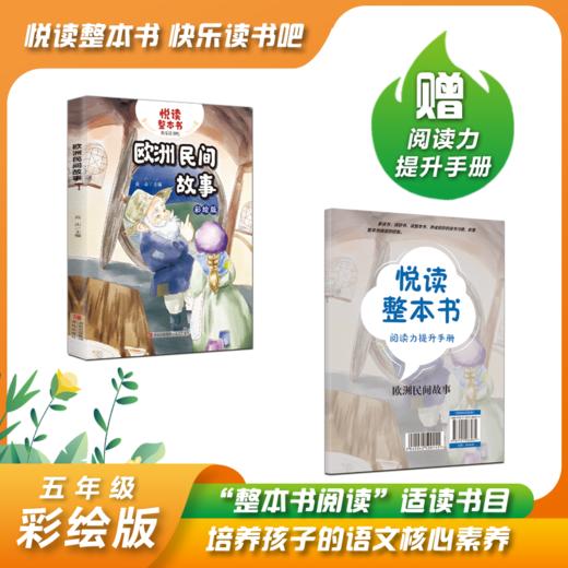 悦读整本书系列-快乐读书吧“正反书” 5年级上册 欧洲民间故事 培养阅读兴趣形成阅读习惯增强阅读体验 青岛出版社 fb 商品图0