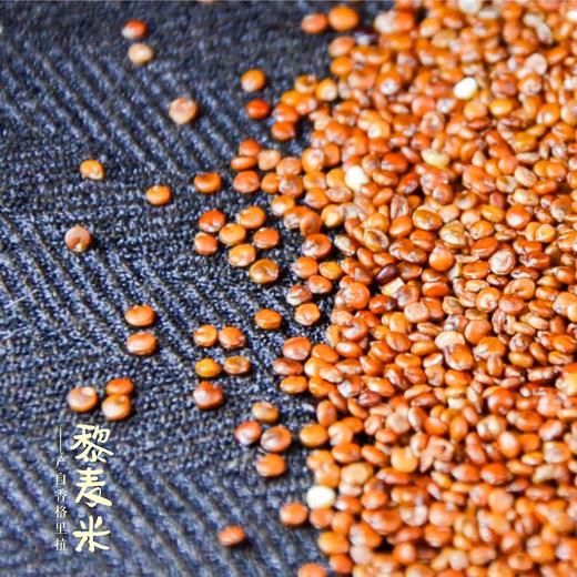 云南迪庆香格里拉特产红藜麦米500g/盒 商品图4