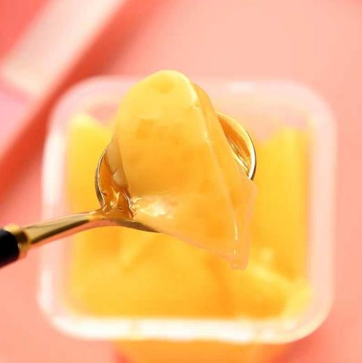 【中欧班列精选】KDL布丁大板蓝莓芒果桃子大板果冻布丁休闲零食果冻480G*袋 商品图6