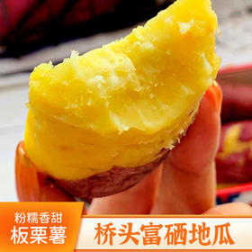  地瓜中的爱马仕？哇，这个地瓜居然拥有板栗一样的味道~ 