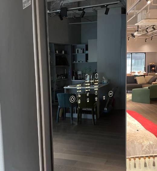 BDUN 德国铂敦 衣物护理机 镜面款 商品图3