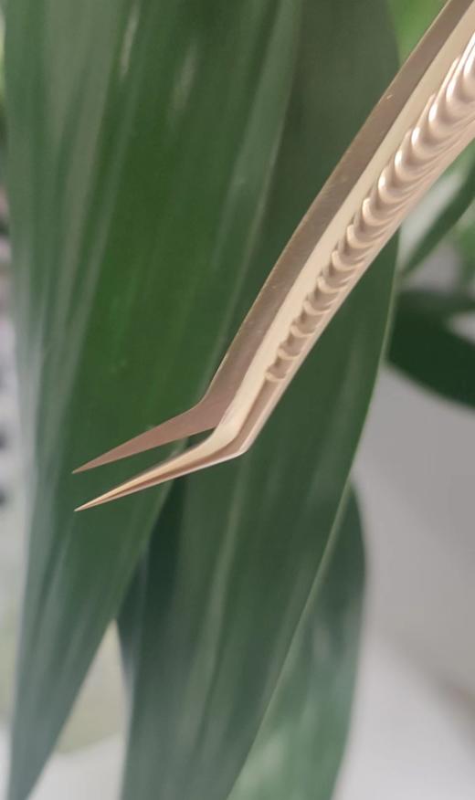 （金色款）   睫毛镊子5款可选择（配送盒子） 商品图1