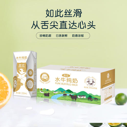 左江水牛纯奶 200ml*10盒/箱—JJ 商品图2