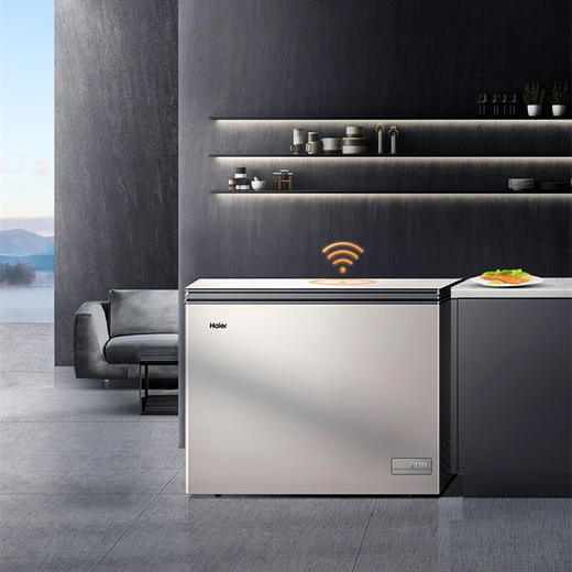 海尔（Haier）180升商用家用卧式一级能效风冷无霜冷柜 -38℃深冷速冻 冷藏冷冻转换 智能控温BC/BD-180WEGU1 商品图9