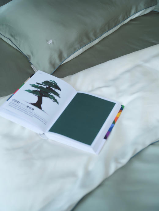 小日子定制Anyland兰精天丝四件套 商品图3