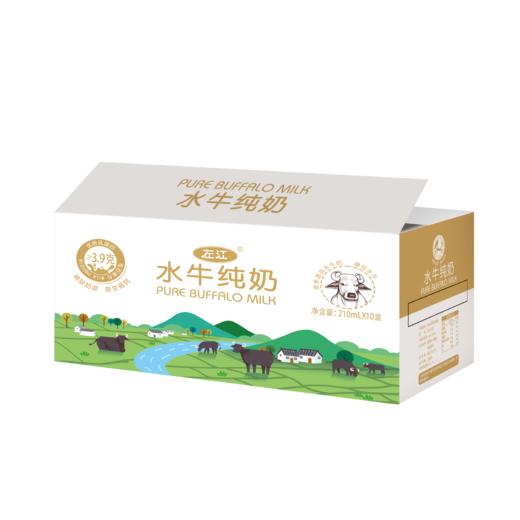 左江水牛纯奶 200ml*10盒/箱—JJ 商品图11