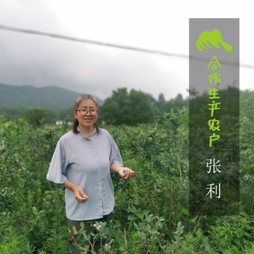 生态蓝莓（偏酸）（湖北）| 合作生产*  Ecological Blueberry| Coproducted 商品图1