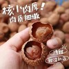 【从化特产】桂味荔枝干 500g/包 肉质鲜美·核小肉厚·香甜可口 商品缩略图1