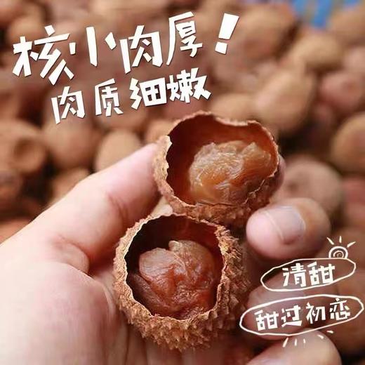 【从化特产】桂味荔枝干 500g/包 肉质鲜美·核小肉厚·香甜可口 商品图1