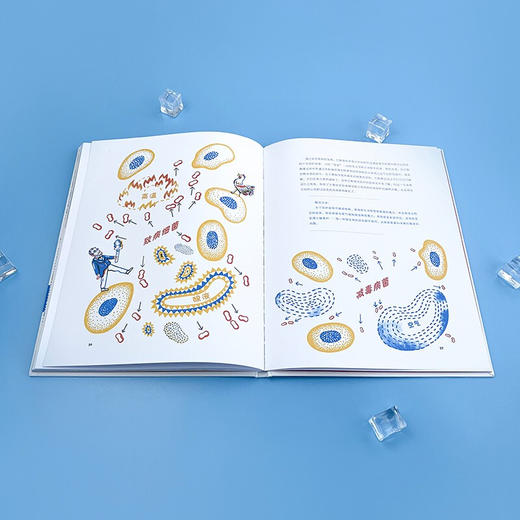 科学家如何拯救世界 巴斯德与微生物 7-10岁 弗洛伦斯·皮诺 著 科普 百科 商品图3