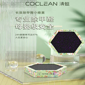 CoClean清蜓长效除甲醛小蜂巢-DF100H