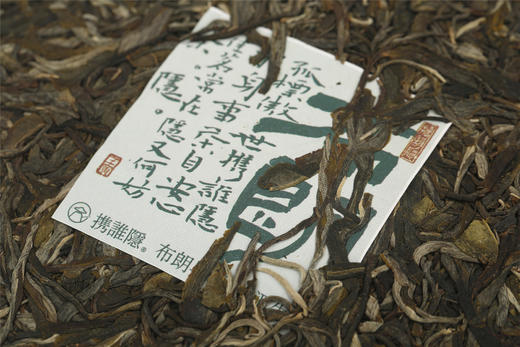 气势凛然 野性之感 | 携谁隐·布朗早春（2022） 商品图6