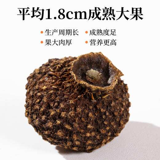 神农金康 刺梨干250g 精选大颗粒去刺 原生态真滋补喝护家人健康 商品图2