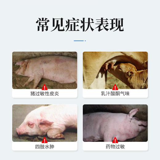 【买3送1】地塞米松磷酸钠注射液5支 消炎退热抗过敏 牛羊猪药 华畜兽药 商品图2