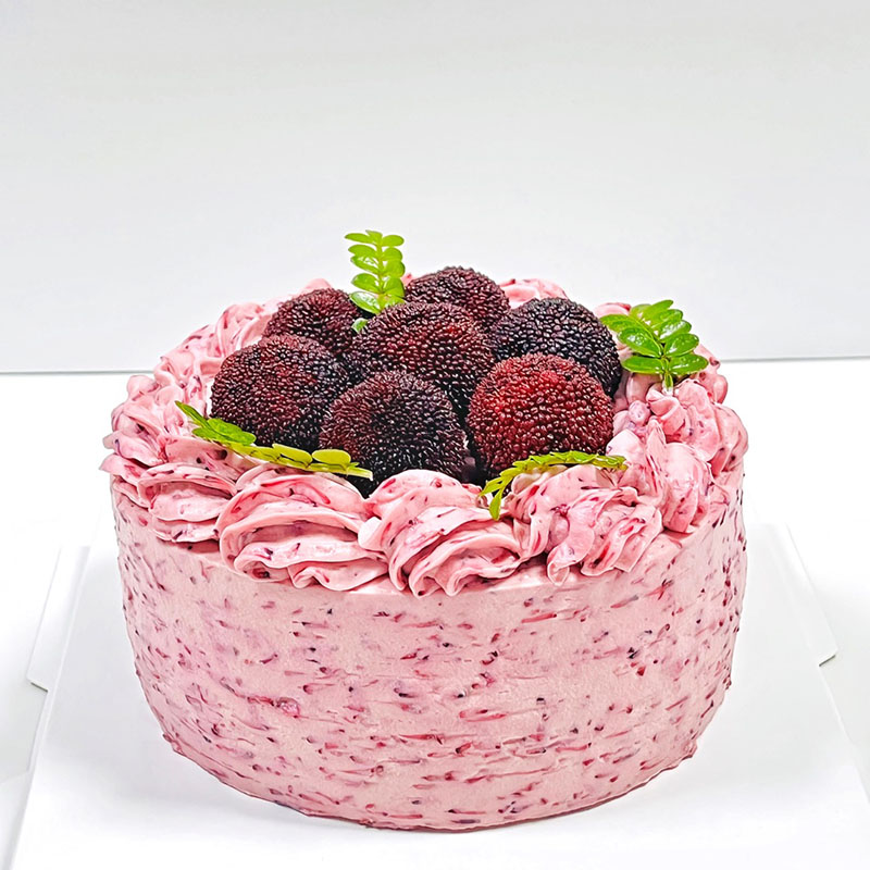 【梅你不行】时令鲜果杨梅蛋糕