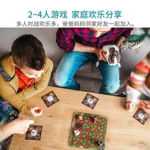 smartgame  SGM510      小兔抢食记4+ 商品图3