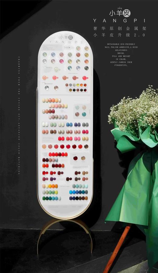 【秒杀价】小羊皮升级版148色 商品图9