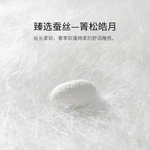 【ROYALCOVER】罗卡芙真丝蚕丝夏凉被100%箐松皓月桑蚕丝被圣安德拉 商品图3