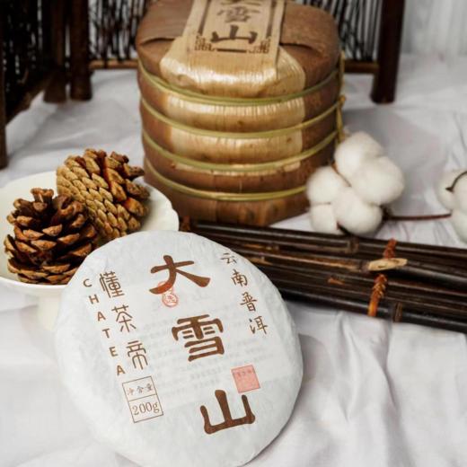 云南普洱茶2022大雪山普洱生茶200克/饼 商品图1