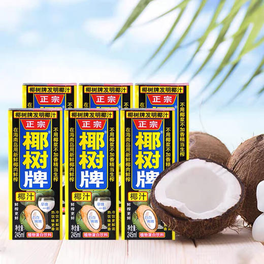 椰树椰汁245ml*24盒/件 商品图2