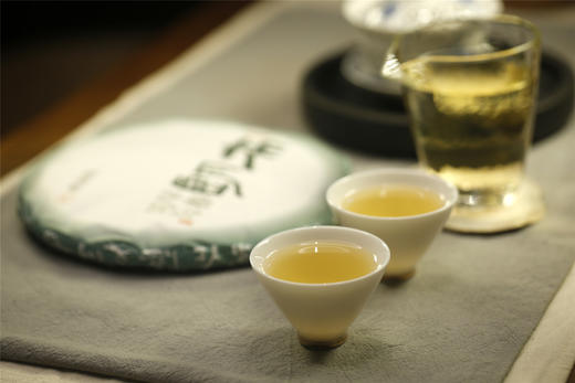 气势凛然 野性之感 | 携谁隐·布朗早春（2022） 商品图10