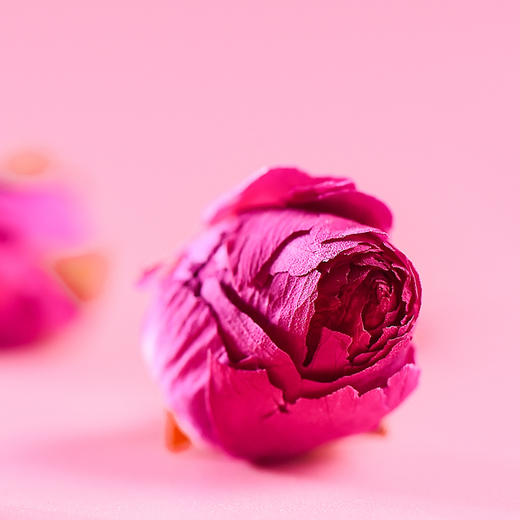 来自贵州黔东南的雷山玫瑰/玫瑰红梅 污染小 花香足 商品图5