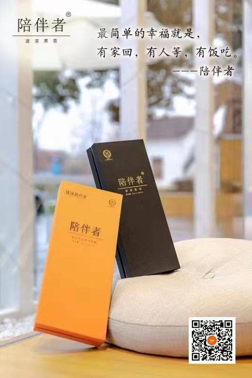 PBZ-陪伴者速溶黑茶-21支/盒 商品图3