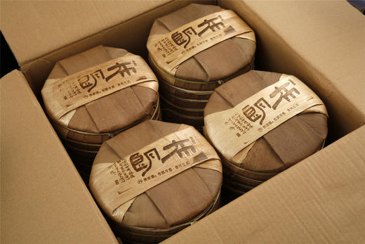 气势凛然 野性之感 | 携谁隐·布朗早春（2022） 商品图3