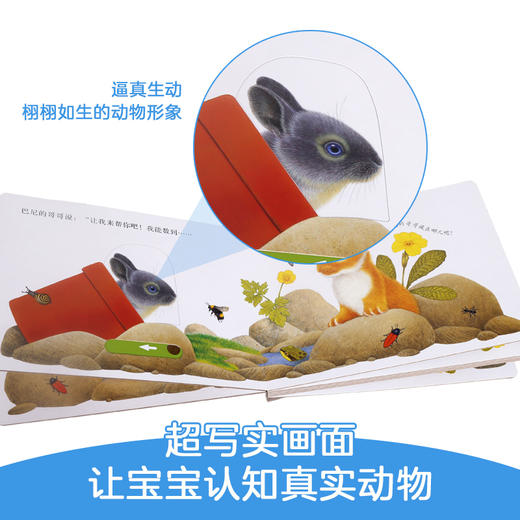 动物朋友手指推拉书 忙碌的小兔 商品图3