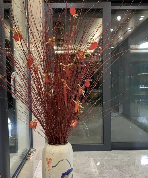 【长长久久】进口红瑞木  红柳枝   多规格（超长待机） 商品图0