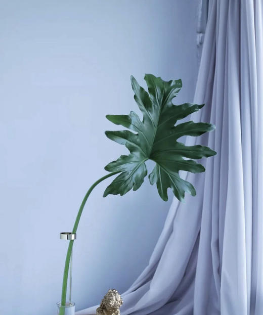 春雨叶 约10支/扎 商品图0