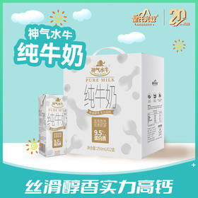 【新品】神气水牛纯牛奶 250ml*12盒  9.5克蛋白质，