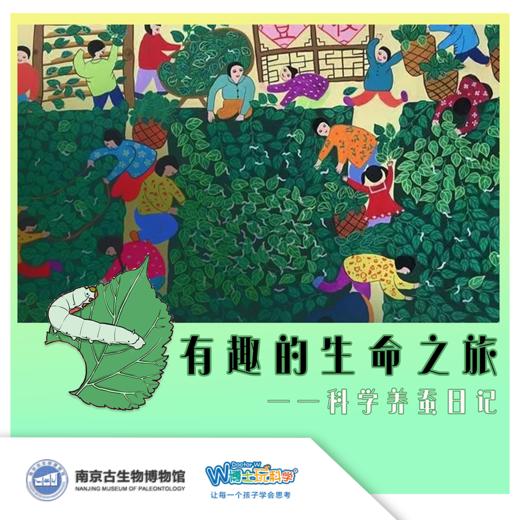 【南京】科学养蚕记 商品图0