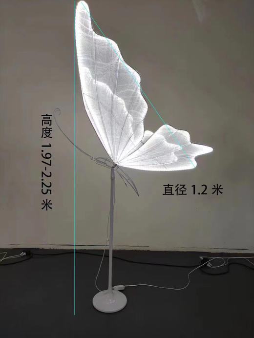 特价蝴蝶路引（运费自理） 商品图3