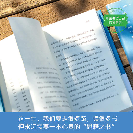 慰藉之书 抚慰人心的52个关键词 商品图2