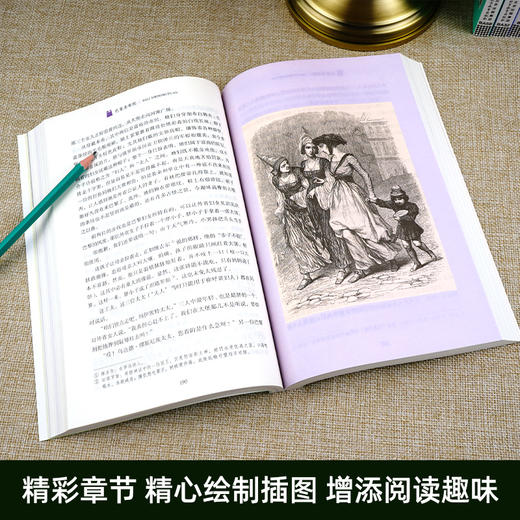 巴黎圣母院 原著正版无删减名著阅读高中语文高一高二高三学生课外阅读书籍经典名著阅读课程化丛书 智慧熊南方出版社 商品图1