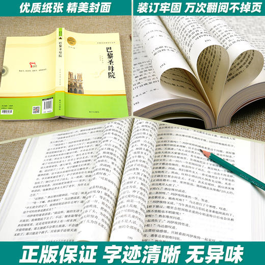 巴黎圣母院 原著正版无删减名著阅读高中语文高一高二高三学生课外阅读书籍经典名著阅读课程化丛书 智慧熊南方出版社 商品图2