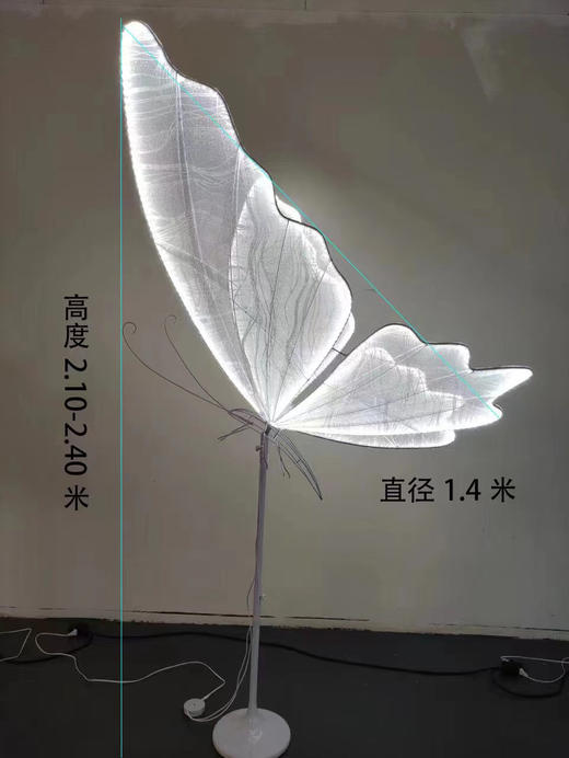 特价蝴蝶路引（运费自理） 商品图4