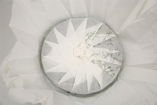 气势凛然 野性之感 | 携谁隐·布朗早春（2022） 商品图12