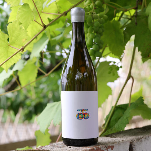 扎西酒庄橡木桶珍藏干白葡萄酒 商品图0