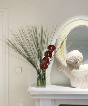 钢草  约18-20支/扎  约1米