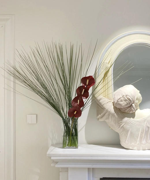 钢草  约18-20支/扎  约1米 商品图0