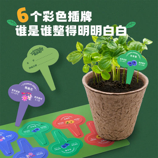 盛放吧 花房：阳光种植房儿童种植小盆栽科学实验生长观察窗玩具（含6个花种） 商品图3