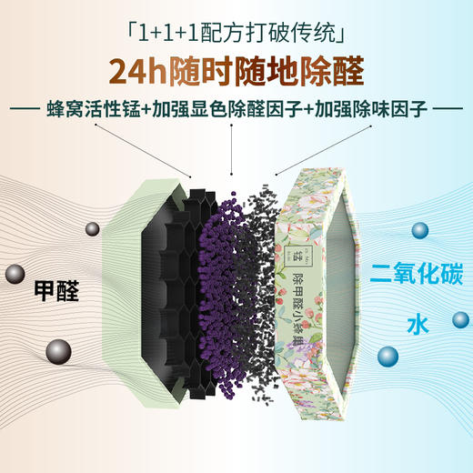 CoClean清蜓长效除甲醛小蜂巢-DF100H 商品图3