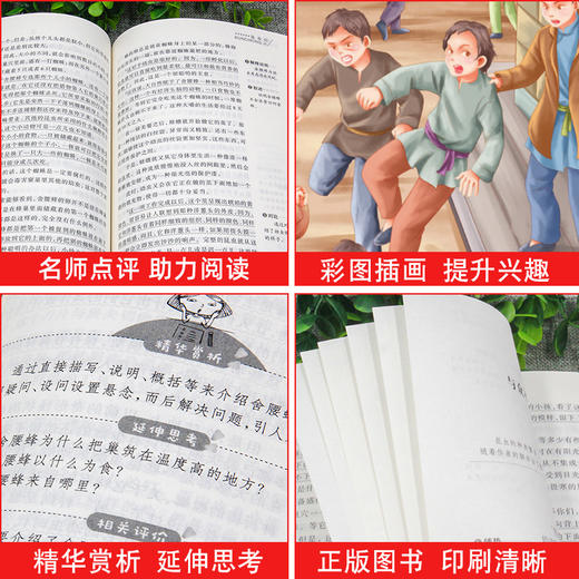 全4册宝葫芦的秘密 张天翼 稻草人书叶圣陶正版 大林和小林 三四年级怪老头书籍孙幼军 三年级课外书必读班主任推荐书目全套小学生 商品图3