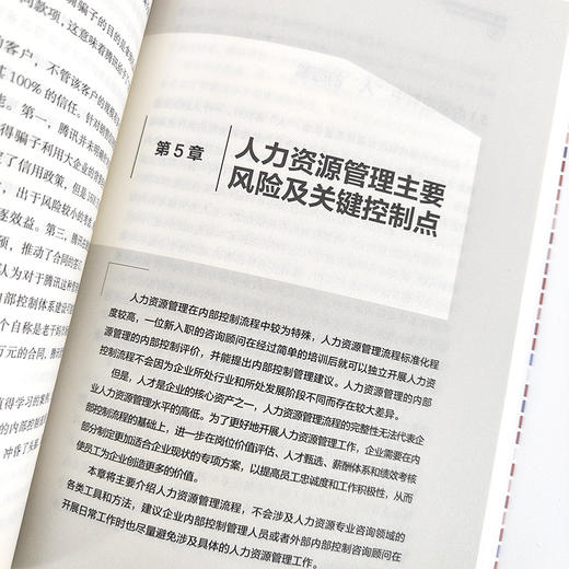 手把手教你做内部控制：全流程主要风险及关键控制点 商品图11