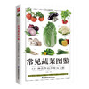 常见蔬菜图鉴 商品缩略图0
