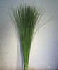 钢草  约18-20支/扎  约1米 商品缩略图3
