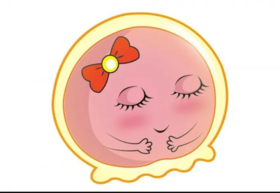  想要又大又圆的卵泡？都是这样调理出来的！ 